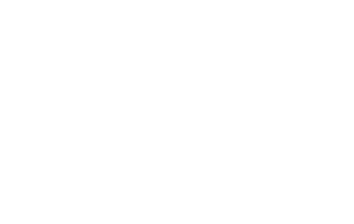 CEO